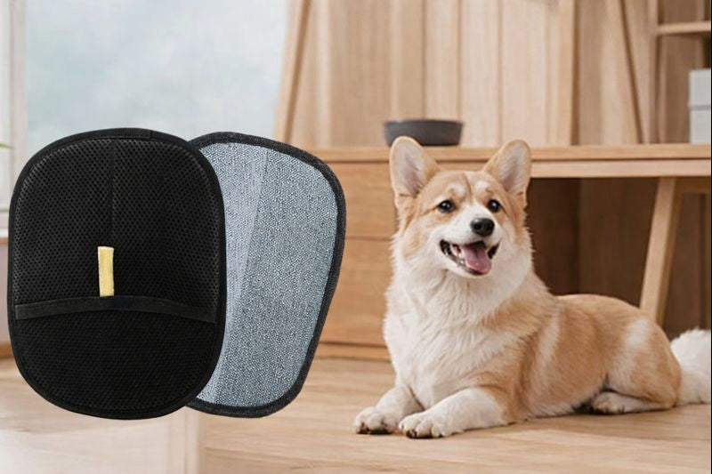 Gant Anti Poil Woof&Co