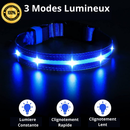 Collier Lumineux Woof&Co