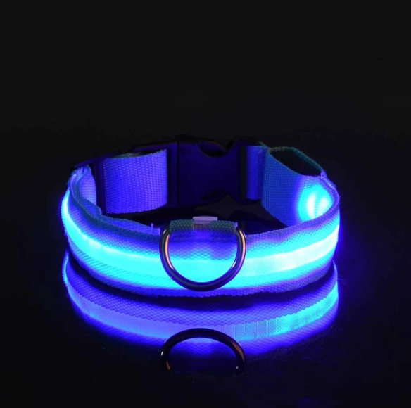 Collier Lumineux Woof&Co