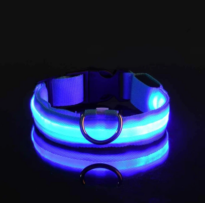 Collier Lumineux Woof&Co