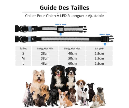 Collier Lumineux Woof&Co