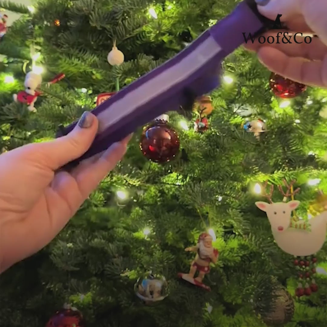 Charger la vidéo : 